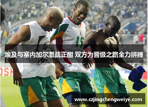 埃及与塞内加尔激战正酣 双方为晋级之路全力拼搏