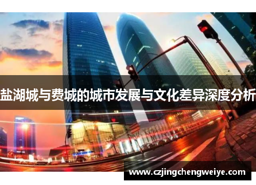 盐湖城与费城的城市发展与文化差异深度分析