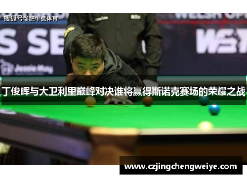 丁俊晖与大卫利里巅峰对决谁将赢得斯诺克赛场的荣耀之战